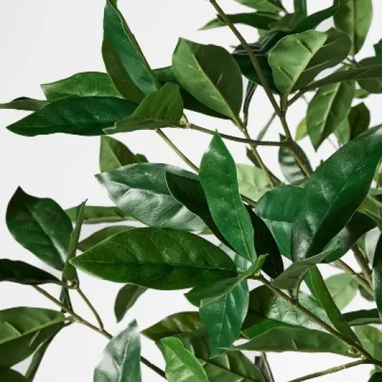 Bay Leaf Tree in Basket - Threshold&trade; designed with Studio McGee image {2}