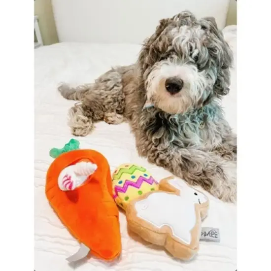 Midlee Hide a Toy Carrot Easter Dog Toy image {2}