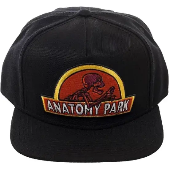 Rick And Morty Anatomy Park Logo Snapback Baseball Hat Black image {1}