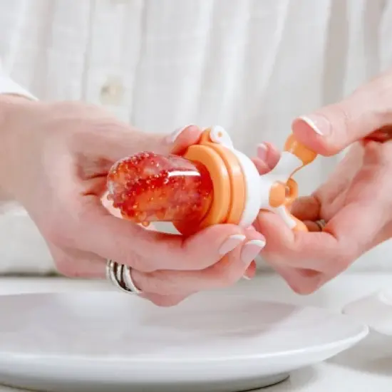 Quark Fruuti Revolutionary Silicone Baby Fruit Feeder image {6}