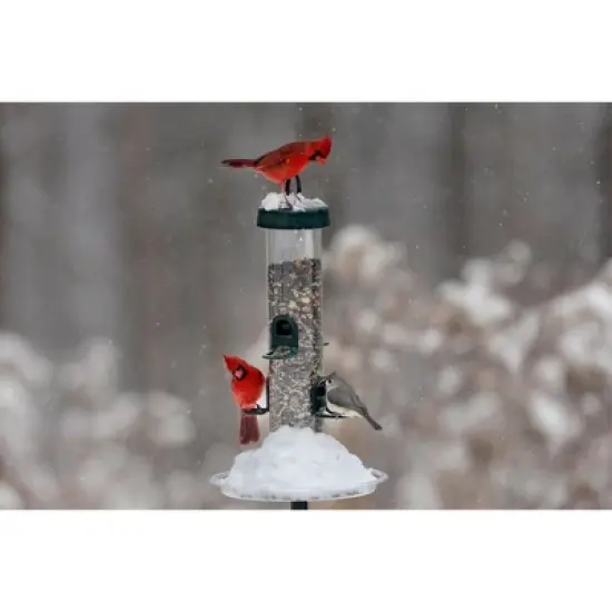 Brome Tube Solution 200 Wild Bird Feeder, 3.4 lb Capacity, Clear image {1}