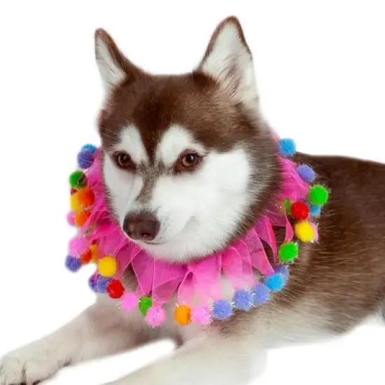 Midlee Pink Birthday Pom Pom Dog Collar image {4}