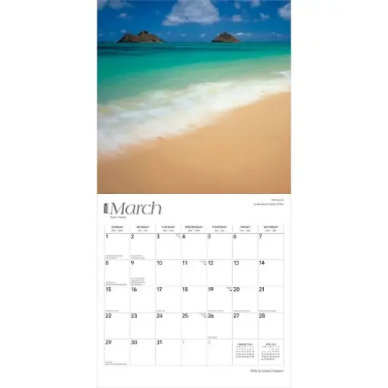 BrownTrout Hawaii Wild and Scenic 2026 12"x24" Hanging Square Wall Calendar Plastic-Free image {2}