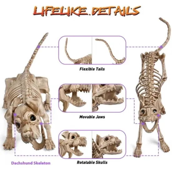 Yescom 2Pcs Poseable Dachshund Dog and 1 Pcs Cat Skeleton Life Size Pet Animal Halloween Yard Decor image {2}