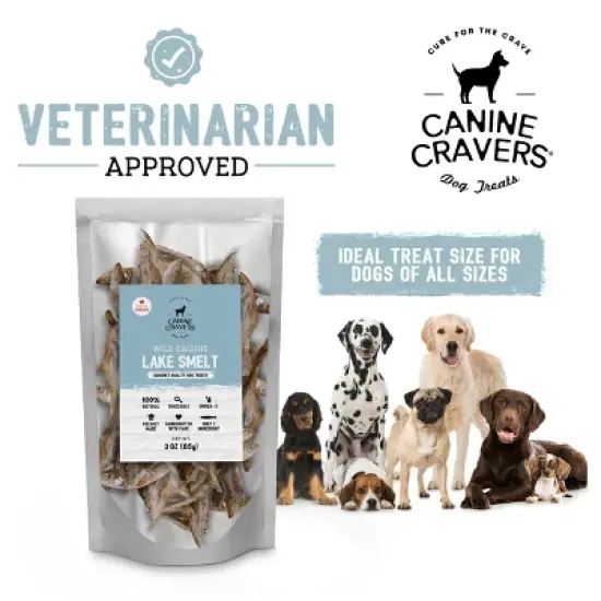 Canine Cravers Single Ingredient Air Dried Dog Treats - Wild Caught Lake Smelt 3 oz - Pouch image {4}