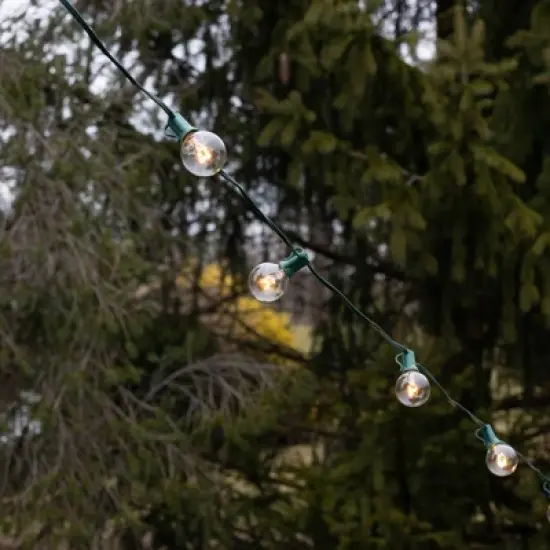LumaBase Electric String Lights with 25 Globe Bulbs image {2}