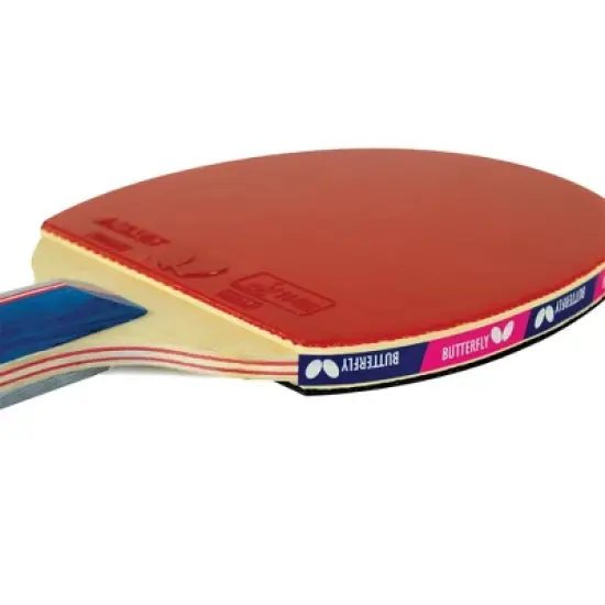 Butterfly RDJ CS-2 Penhold Racket image {6}