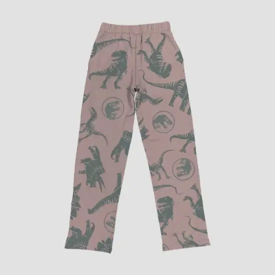 Boys' Jurassic Park Adaptive Jogger Pants - Dusty Rose Pink image {1}