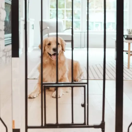 Carlson Tall Gate with Door for Dog Crate - Black image {2}