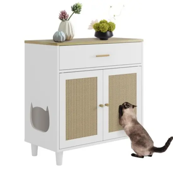 Cat Litter Box Enclosure with Drawer, Hidden Litter Box Furniture, Indoor Cat Washroom, Decorative Side End Table, Fit Most Cat and Litter Box image {1}
