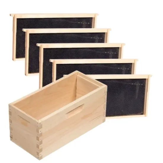 Lehman's Beekeeping Deep Nuc Box, Assembled Super or Brood Box with Plastic Foundation Frames for 5 Frame Honeybee Hives, Amish Made image {5}