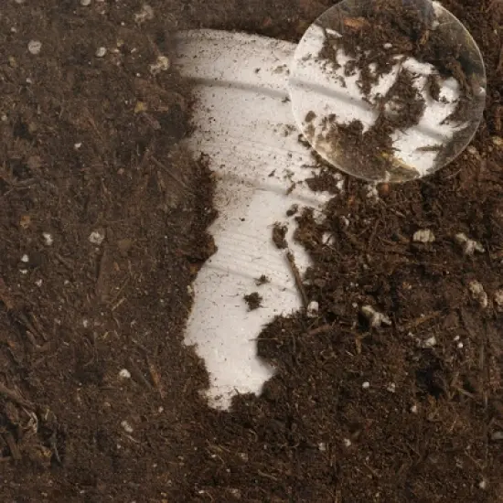 Educational Insights Now You See It, Now You Don't Composting Kit image {4}