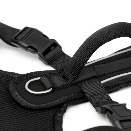 PetSafe EasySport Adjustable Dog Harness image {3}