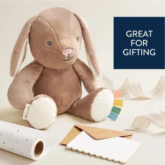 Itzy Ritzy Sweetie Snuggles Plush Stuffed Animal - Taupe Bunny image {5}