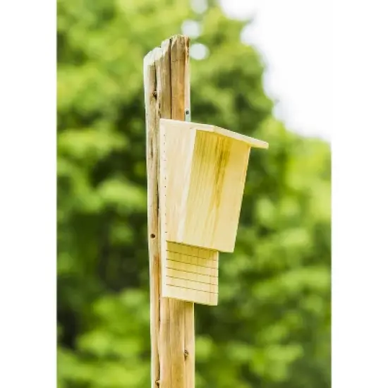 Evergreen Natural Wooden Bat House image {6}