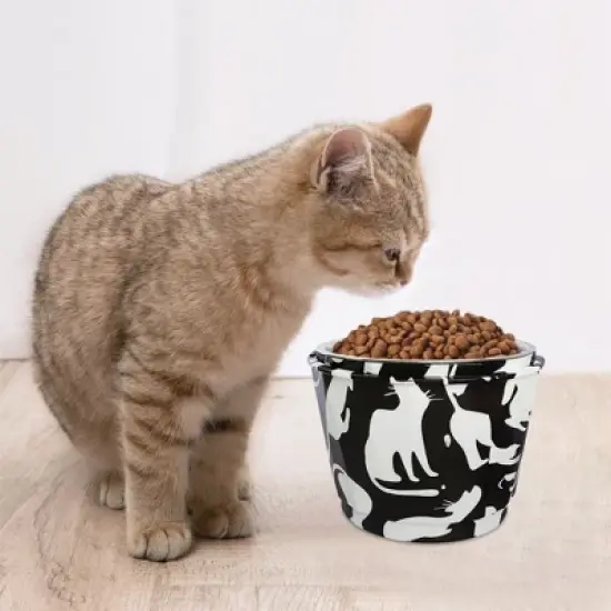 Paaaawaters 6" Anti-Vomiting Stainless Steel Pet Bowl for Small and Medium Dogs and Cats - Non-slip, Modern Design with Spine Protection image {7}