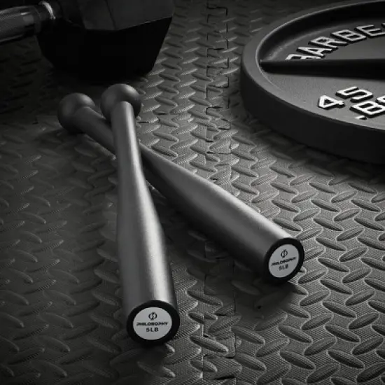 Philosophy Gym Indian Clubs Pair- Weighted Steel Exercise Club Bells Set, Arm Strength Trainer image {5}