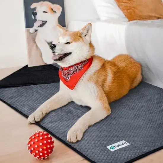 PetAmi Waterproof Dog Blanket, Leakproof Fleece Throw for Pet Cat Puppy Kitten, Reversible Washable Soft Plush Cover image {4}