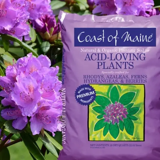 Coast of Maine Organic Natural Garden Compost Potting Planting Soil Blend for Acid Loving Plants, Bushes, and Flowers, 20 Quart Bag (2 Pack) image {2}