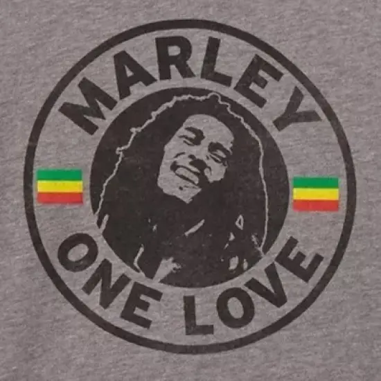 Toddler Boys' Bob Marley 'One Love' Short Sleeve Graphic T-Shirt - Gray image {2}