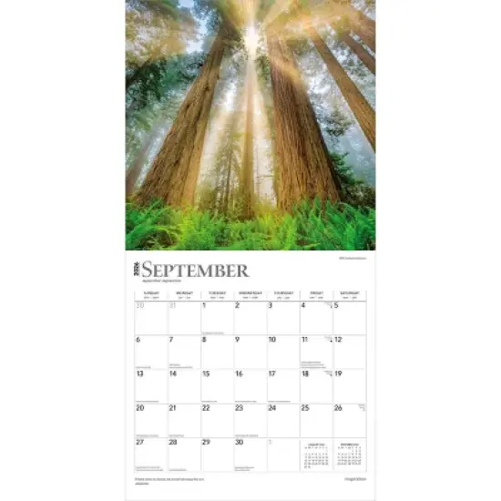BrownTrout Inspiration 2026 12"x24" Hanging Square Wall Calendar Plastic-Free image {3}