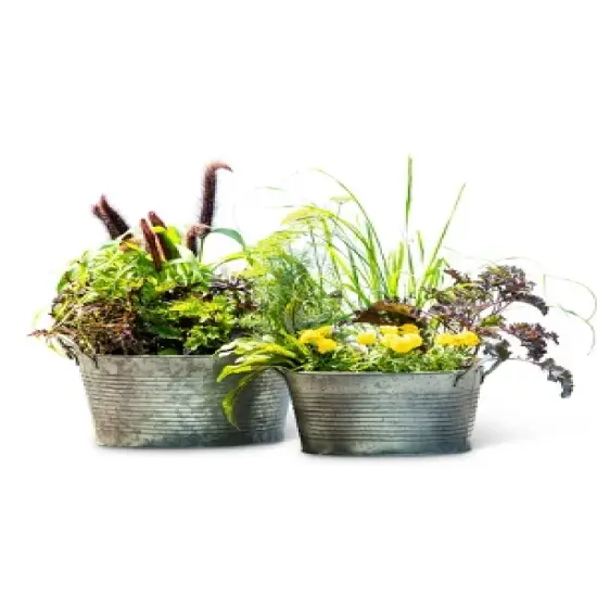 Gardener's Supply Company Galvanized Planter | Sturdy Vintage Style Galvanized Wash Basin Farmhouse Metal Planters With Side Holders For Herbs, image {3}