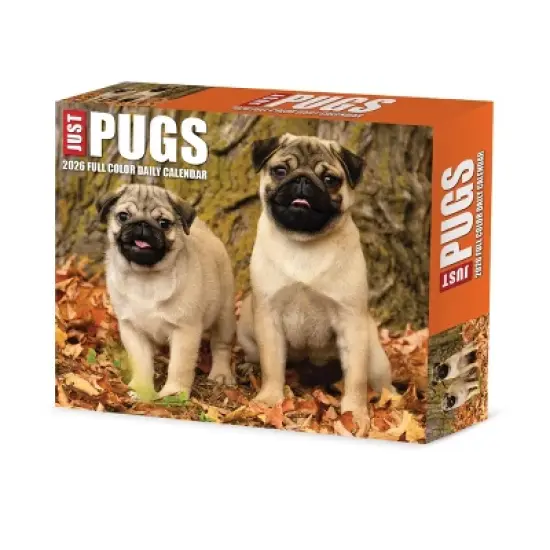 Willow Creek Press 2026 Just Pugs Box Calendar image {6}