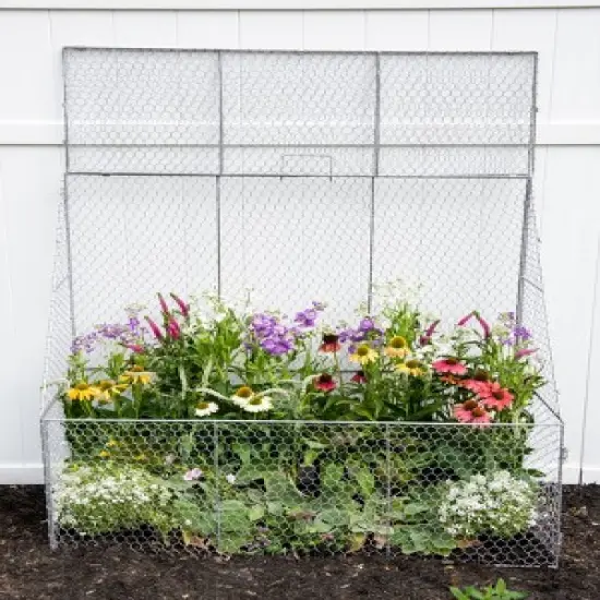 Gardener&rsquo;s Supply Company Chicken Wire Cloche Flat Back Crop Coop | Sturdy Metal Flower, Garden Plants, and Backyard Vegetables Cover Protector | 20"D image {2}