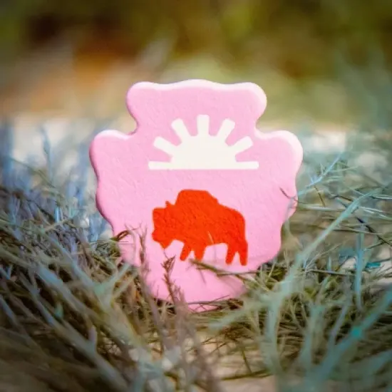 Keymaster Games Parks 2nd Edition Board Game: Includes Cards, Game Board, Tokens, Wooden Pieces for 2-5 Players image {4}