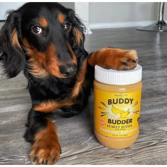 Barkin Banana Buddy Budder (17oz) image {6}