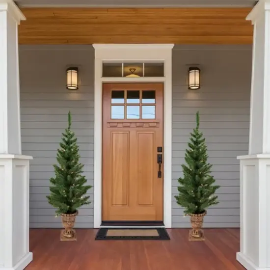 Northlight 2ct Prelit Artificial Christmas Tree Potted Porch Pine Topiary - Clear Lights image {1}