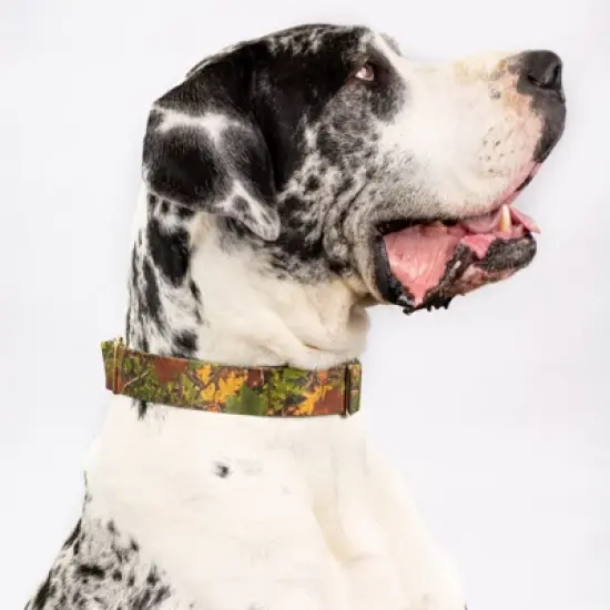 Country Brook Petz Southern Forest Camo Martingale Dog Collar image {5}