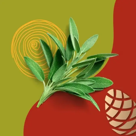 Beloved Cashmere Wood and Sage 2-Wick Candle - 11.5oz image {4}