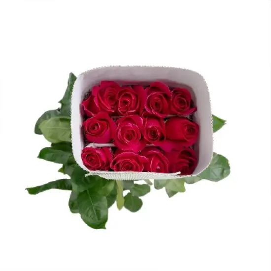 Fresh Cut Roses - 100 Stems image {6}