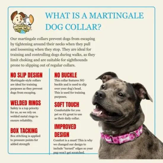 Country Brook Petz HossFit Jr Wide Martingale Dog Collar - Geek Chic Collection image {2}