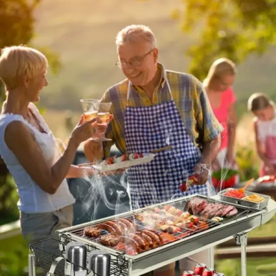 SEVOBAL Outdoor Grills, Griddles and Smokers Foldable Outdoor BBQ Set with Non Stick Pan, Accessories for Camping, Picnics, Silver, 30.3"*11.17"*7.5" image {4}