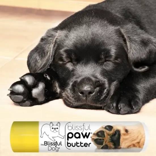 The Blissful Dog Paw Butter image {7}
