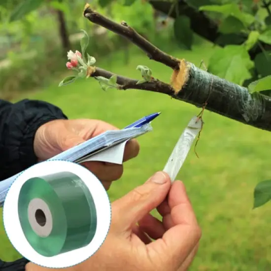 Unique Bargains Clear Stretchable Garden Grafting Tapes for Fruit Trees Green image {4}