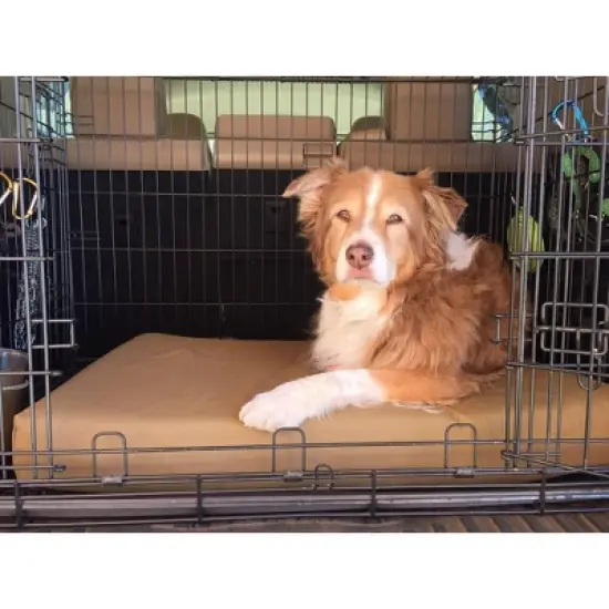 Big Barker 4" Orthopedic Crate Bed image {13}