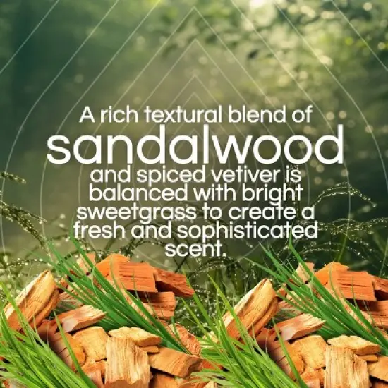 Air Wick Vibrant Scented Oil Air Freshener Refills Sweetgrass & Sandalwood - 1.34 fl oz/2pk image {3}