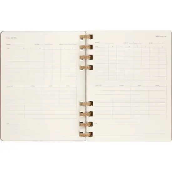 Moleskine 2023-24  Academic Weekly Planner 10"x8" XL Spiral Almond image {4}