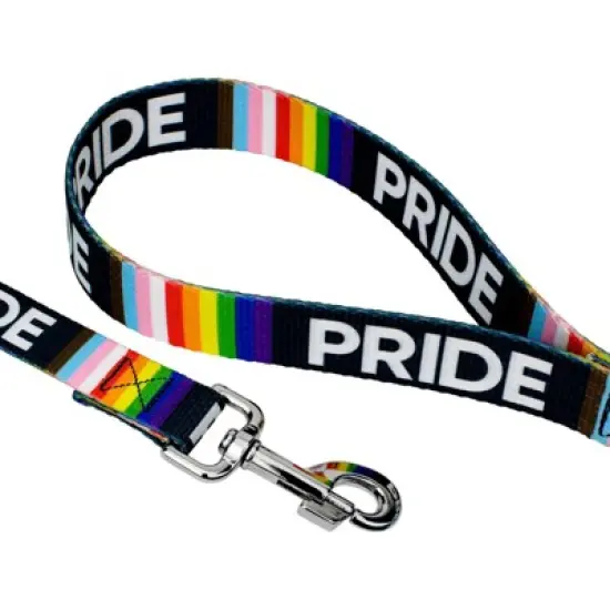 Country Brook Petz Premium Pride Dog Collar and Leash image {6}