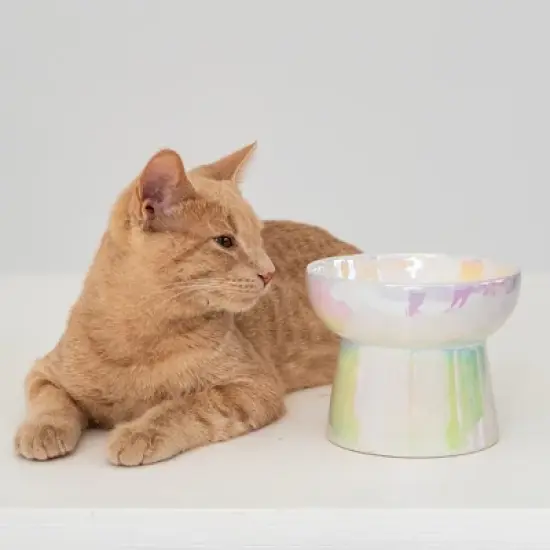 Dexypaws: Elevated Ceramic Bowl For Cats - Iridescent - 7oz Capacity image {2}