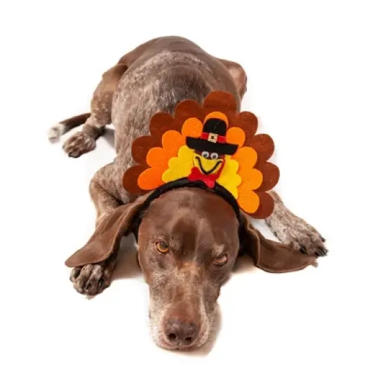 Midlee Turkey Dog Headband image {2}
