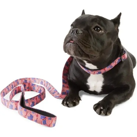 Zodaca 2 Piece Set American Flag Collar and Leash for Medium and Large Dogs image {1}