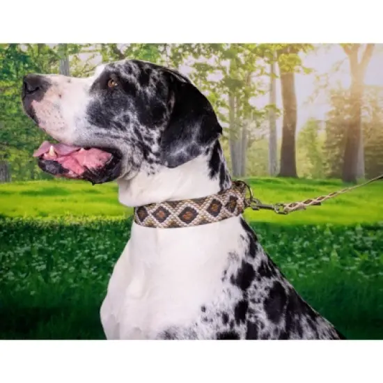 Country Brook Petz - Rattlesnake Martingale Dog Collar image {2}
