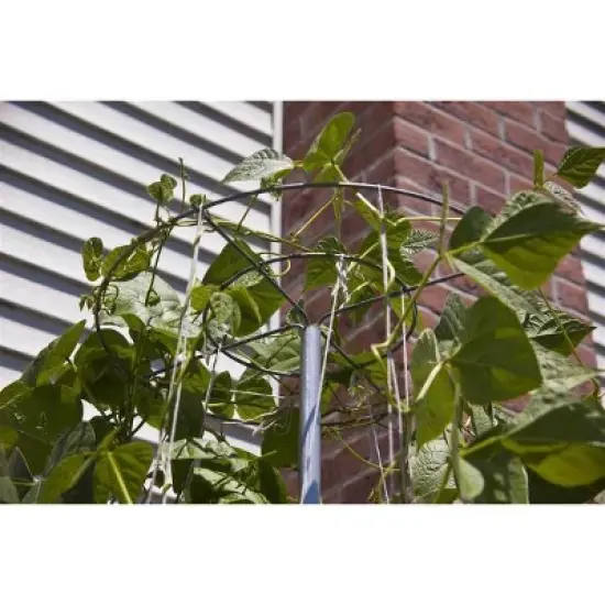 Lehman's Galvanized Steel Garden Vegetable Support for Beans Cucumbers Melons Squash, USA Made Vine Tower Stake Supports Climbing Vegetables, 6in 3ft image {3}