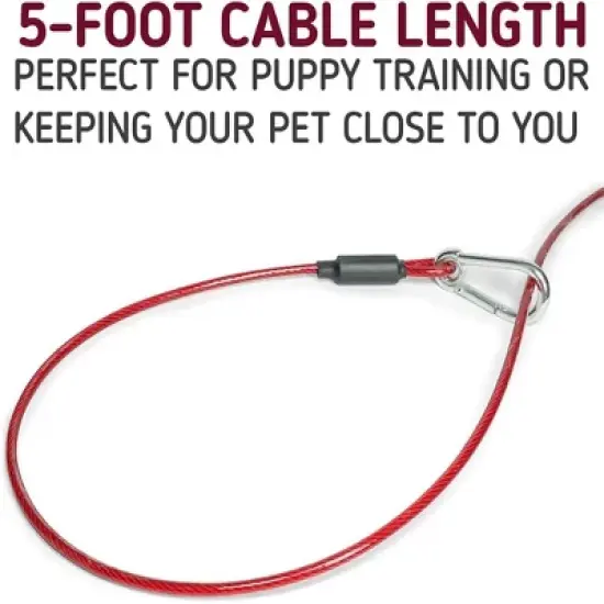 Leashboss 5ft Dog Tether Tie Out Cable, Classic Red image {3}