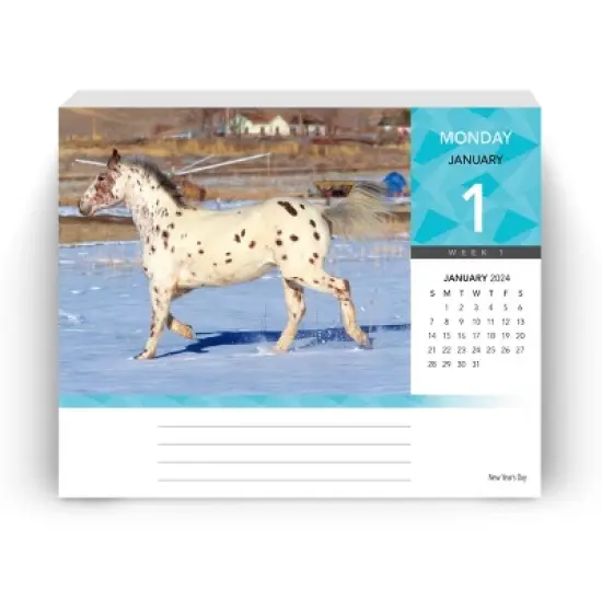 Browntrout 2024 Daily Calendar 5"x6" Horse Lovers image {2}