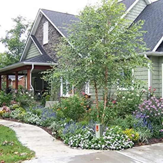 Algreen Receptacle Large Outdoor Rock Cover Decorative Lawn and Garden Landscape Accent to Hide Wire image {5}